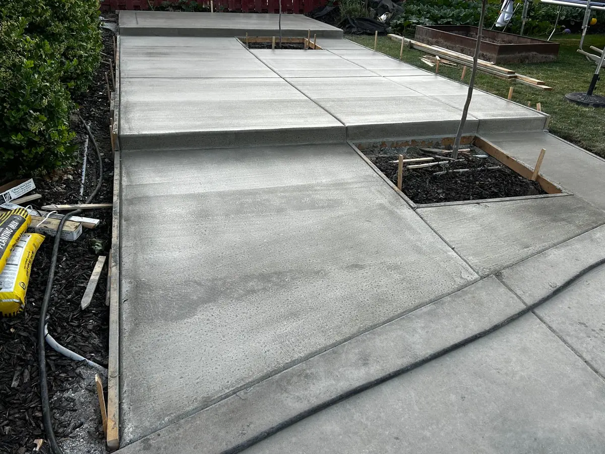 Concrete backyard patio with an opening around a young tree
